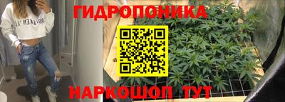 наркотики Берёзовский