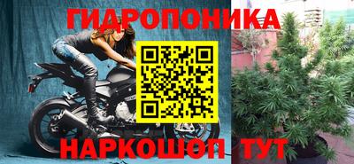 твердый Бийск