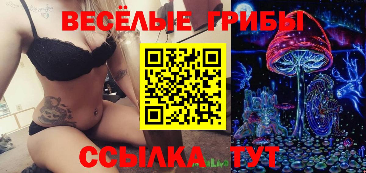 Псилоцибиновые грибы MAGIC MUSHROOMS  Вход с VPN  Галлюциногенные грибы GOLDEN TEACHER  Владикавказ 